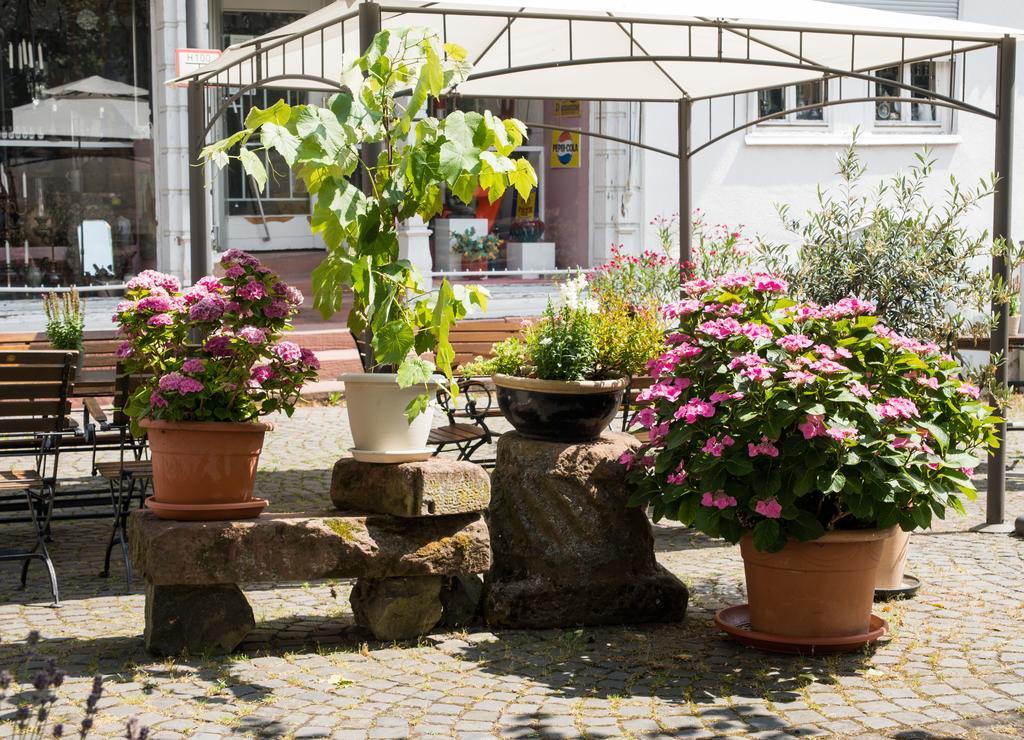 Hotel Weber Amöneburg Buitenkant foto