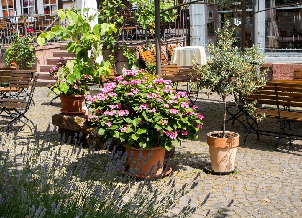 Hotel Weber Amöneburg Buitenkant foto